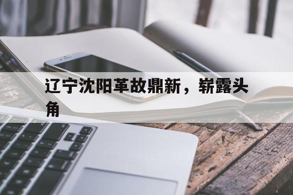 熊猫直播tv-关于辽宁沈阳革故鼎新，崭露头角的信息