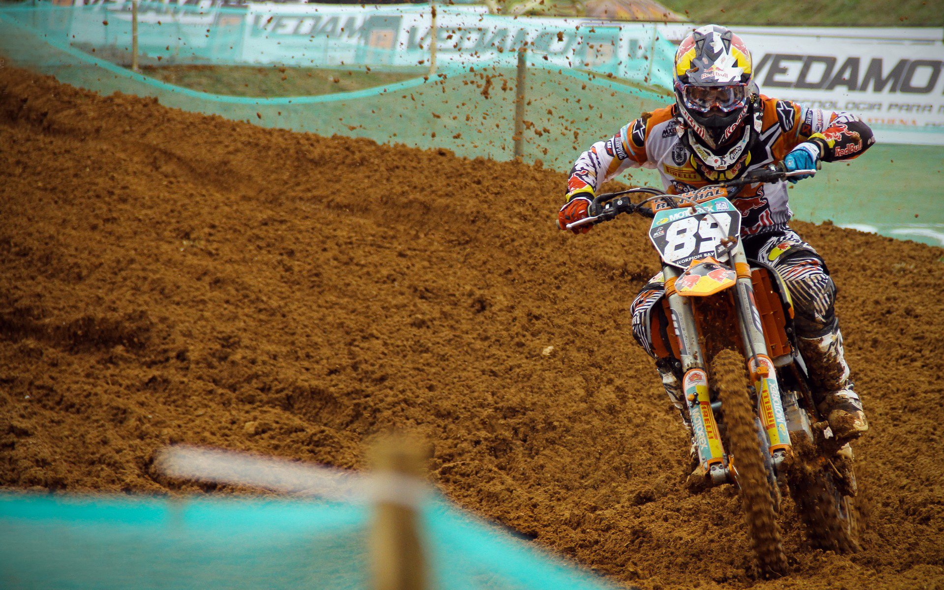 熊猫直播官网-不是莫兰特，不是贝恩，当隐形成长股武切维奇成为灰熊打穿奇才的X先生